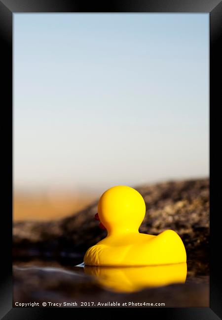 Rubber Ducky went for a swim Framed Print by Tracy Smith
