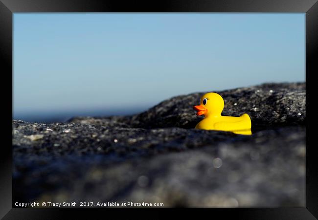 Rubber Duck by the Sea Framed Print by Tracy Smith