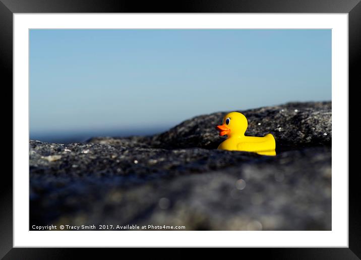 Rubber Duck by the Sea Framed Mounted Print by Tracy Smith