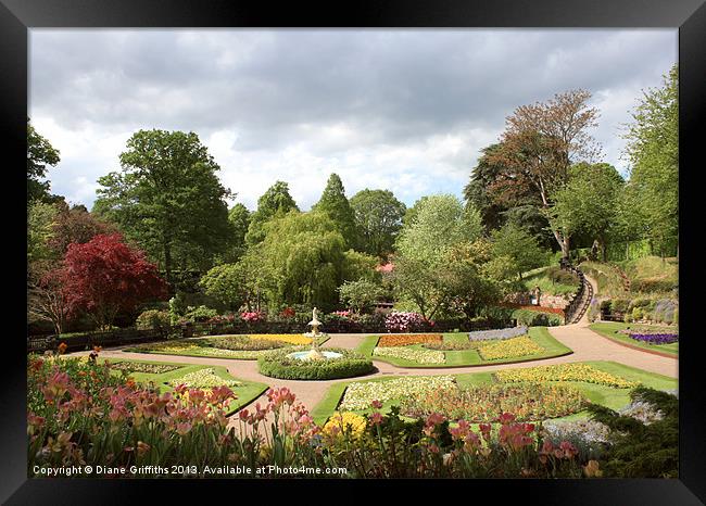 Shrewsbury Town Park Framed Print by Diane Griffiths