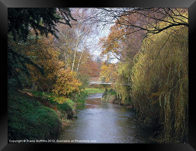 View near Trentham Gardens Framed Print by Diane Griffiths