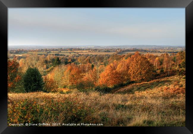 Cannock Chase Vista in the Autumn Framed Print by Diane Griffiths