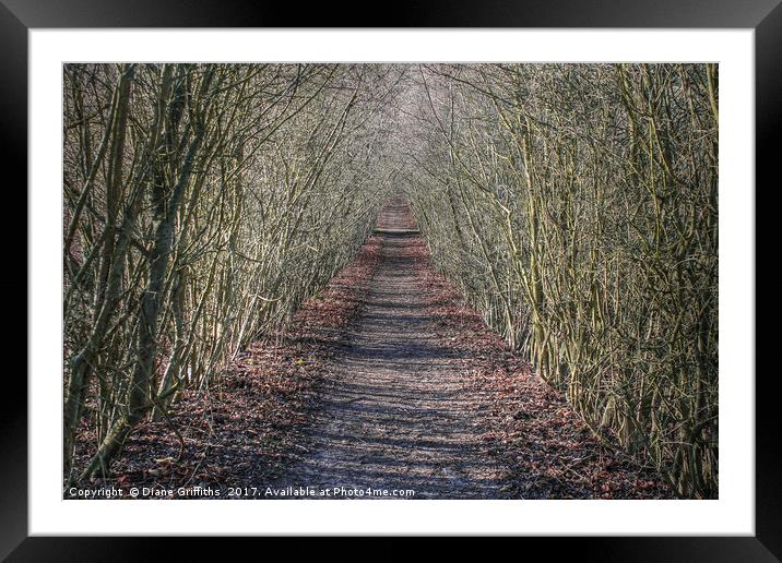 Walking Through Otford Framed Mounted Print by Diane Griffiths