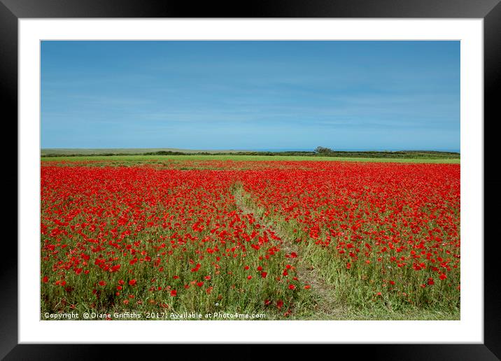Poppies on West Pentire Framed Mounted Print by Diane Griffiths