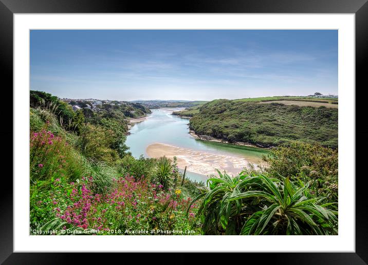 View over The Gannel Framed Mounted Print by Diane Griffiths