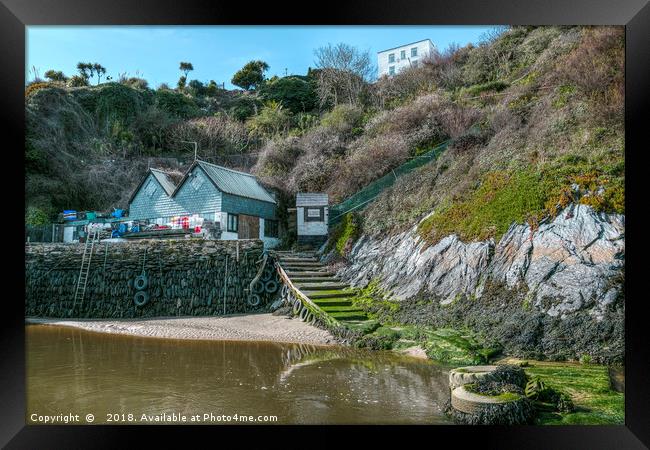 The Fern Pit and Ferry Framed Print by Diane Griffiths