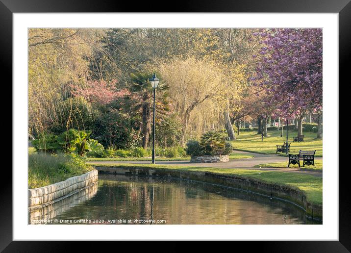 Trenance Gardens Newquay Framed Mounted Print by Diane Griffiths