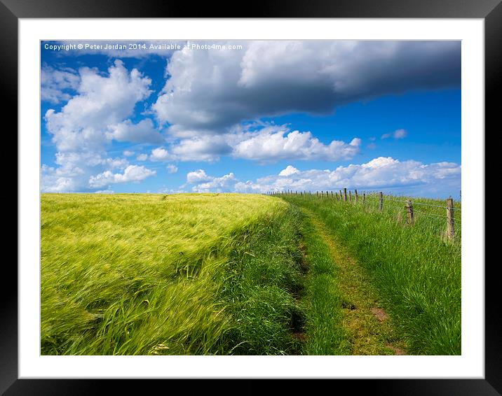  Cleveland Way Costal Path Kettleness North Yorksh Framed Mounted Print by Peter Jordan