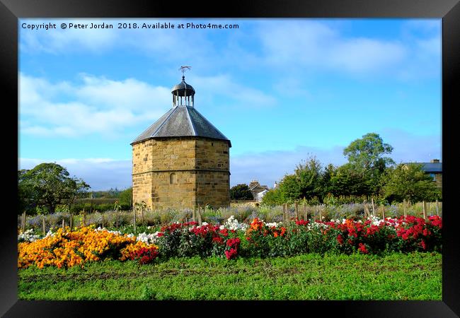 The old dovecot at the 14th century  Augustinian p Framed Print by Peter Jordan