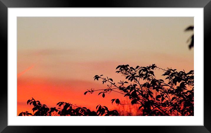Sunrise in Tennessee Framed Mounted Print by Martha Crum