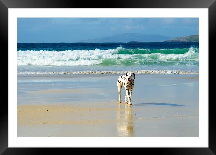 Dalmation coast! Framed Mounted Print by Fiona McRae