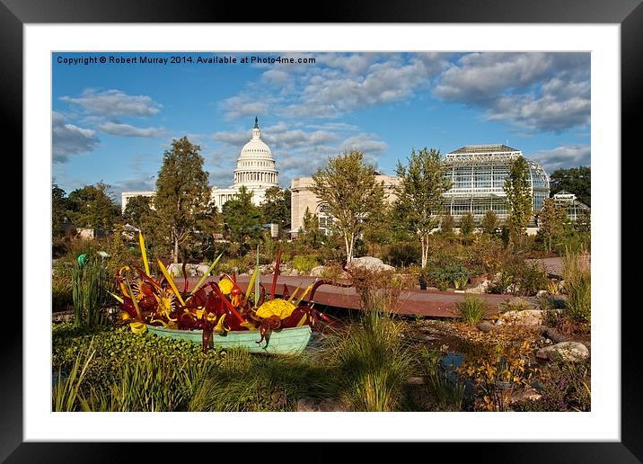 Washington Gardens and Capitol  Framed Mounted Print by Robert Murray