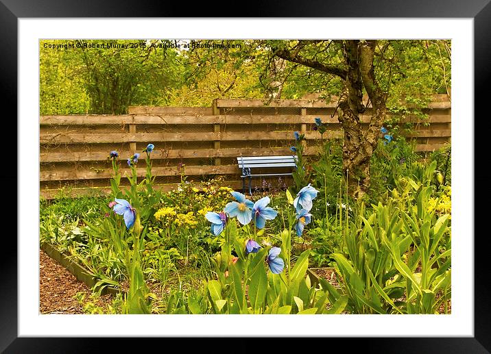  The Blue Bench 2 Framed Mounted Print by Robert Murray