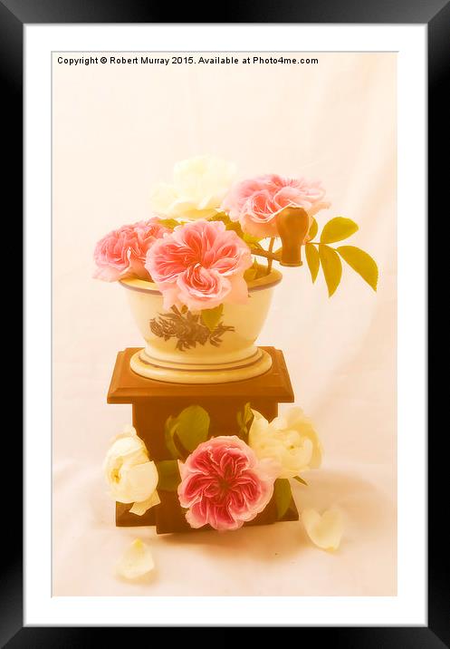  Roses Grow Everywhere Framed Mounted Print by Robert Murray