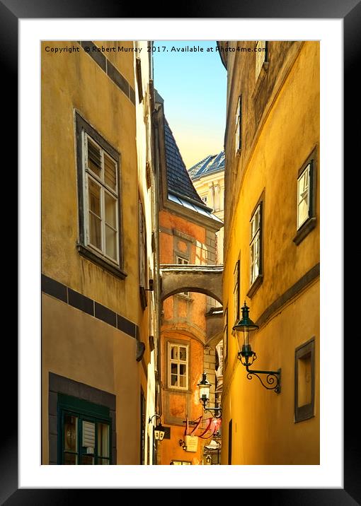  Alley in Vienna Framed Mounted Print by Robert Murray