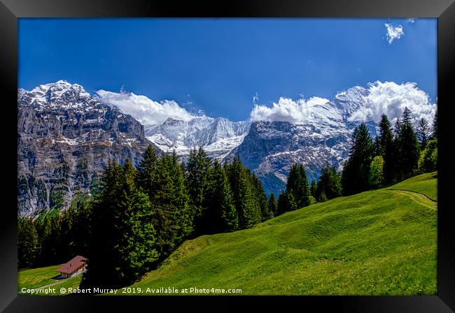  Alpine Meadow with Mettenberg and the Eiger Framed Print by Robert Murray