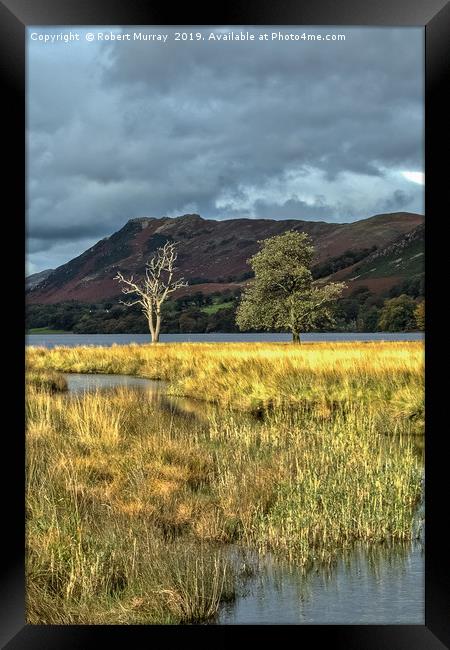 Lonesome Trees Framed Print by Robert Murray