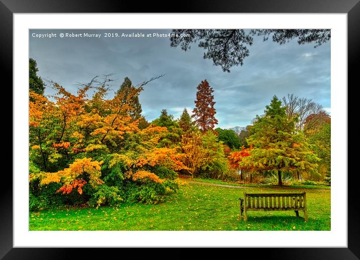 Bench with Autumn Trees Framed Mounted Print by Robert Murray