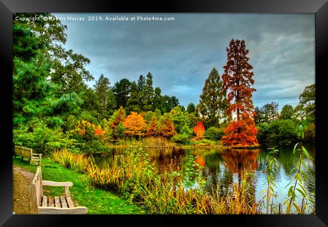  Autumn Colours Reflected in Pond Framed Print by Robert Murray