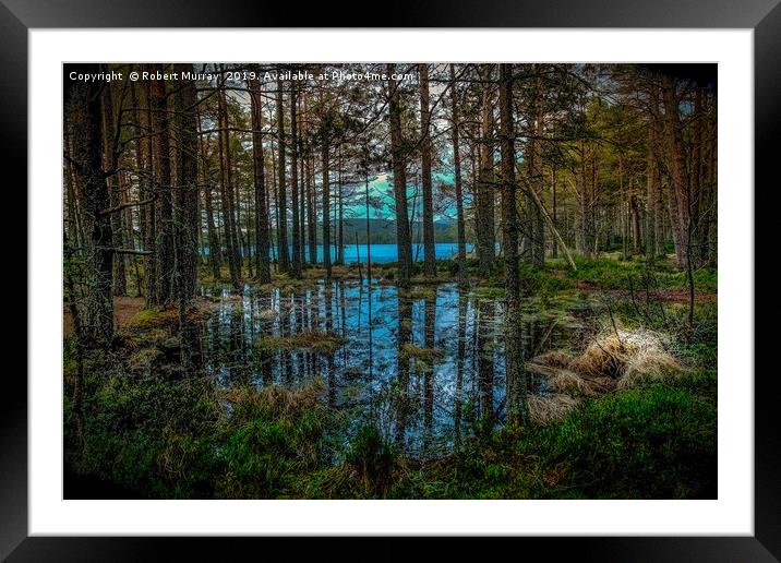 Woodland reflections Framed Mounted Print by Robert Murray
