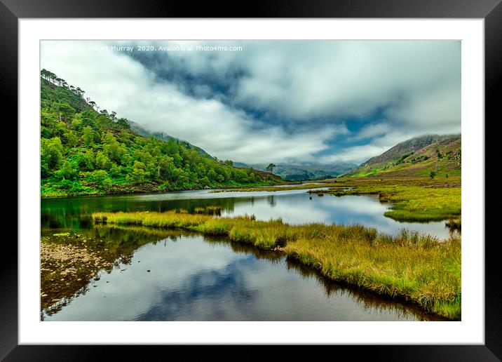 In a Highland Glen 2 Framed Mounted Print by Robert Murray