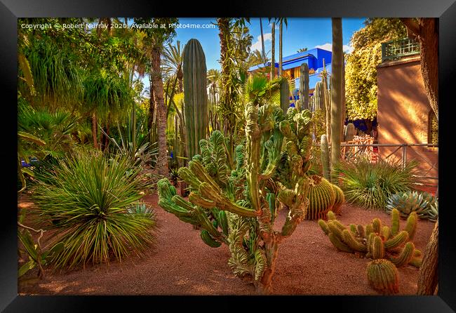 Cacti Garden, Marrakesh. Framed Print by Robert Murray