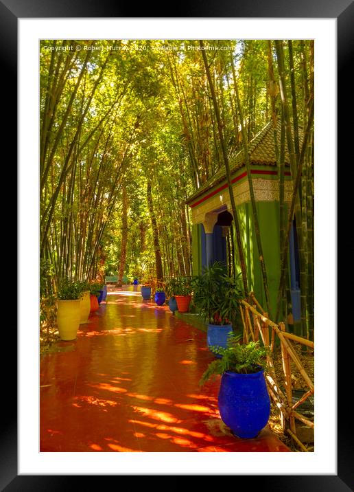 In the Jardin Marjorelle, Marrakesh. Framed Mounted Print by Robert Murray