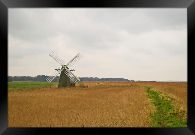 Suffolk Windmill Framed Print by Andy Heap