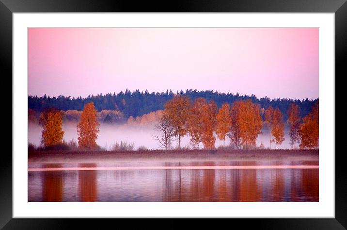 Autumn beauty Framed Mounted Print by Fiona Miller