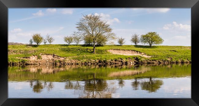Trees on the banks of the River Ribble Framed Print by Jason Wells