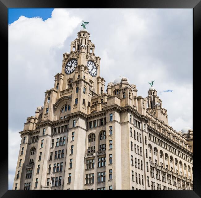 Royal Liver Building panorama Framed Print by Jason Wells