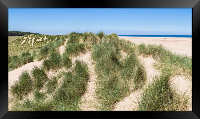 Sand dunes on Holkham beach Framed Print by Jason Wells