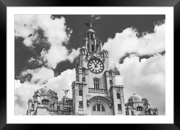 Liver Birds overlooking the Liverpool waterfront Framed Mounted Print by Jason Wells