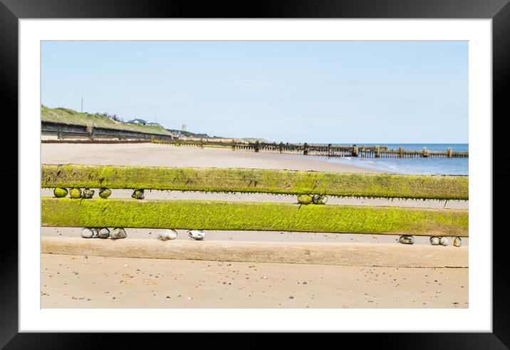 Rocks in the groynes at Cart Gap Framed Mounted Print by Jason Wells