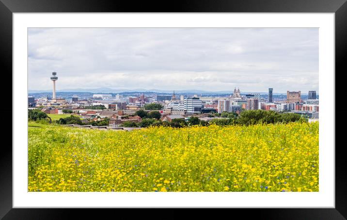 Liverpool skyline over a flower meadow Framed Mounted Print by Jason Wells