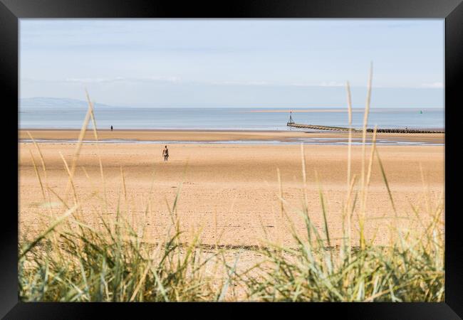 Iron Men on Crosby beach Framed Print by Jason Wells