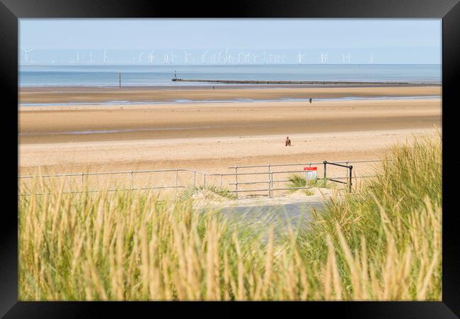 Iron Men figures on Crosby beach Framed Print by Jason Wells