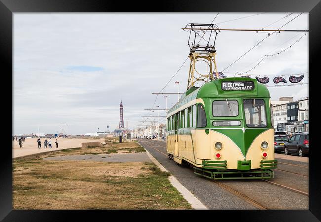Old tram travels down Blackpool seafront Framed Print by Jason Wells