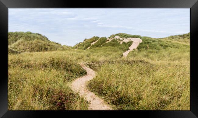 Bending trail through the sand dunes Framed Print by Jason Wells