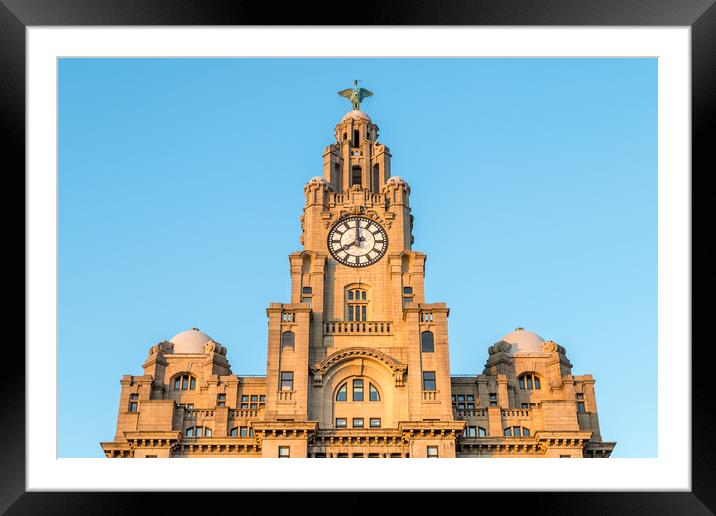 Royal Liver Building at dusk Framed Mounted Print by Jason Wells