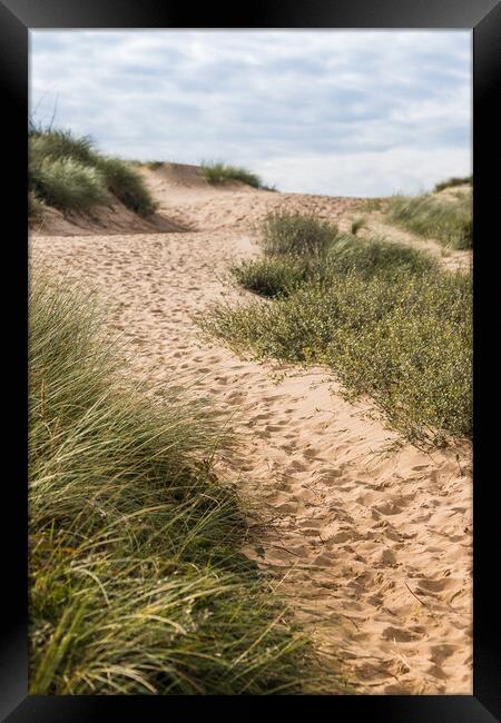 Foot prints leading to Formby beach Framed Print by Jason Wells