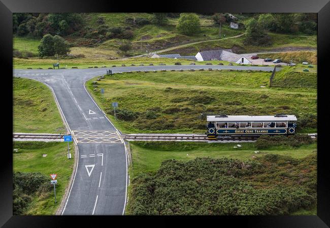 Tram on the Great Orme crossing the road Framed Print by Jason Wells