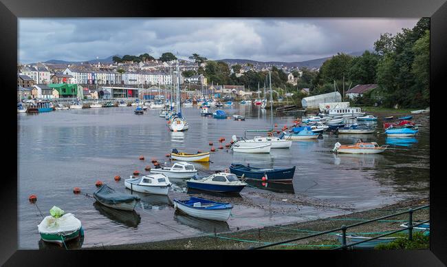Boats lined up in Caernarfon Harbour Framed Print by Jason Wells