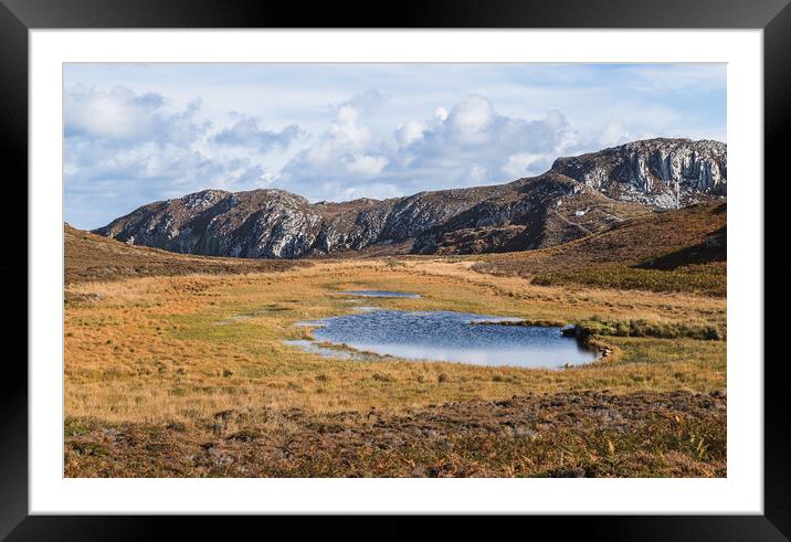 Pond at South Stack Cliffs Nature Reserve Framed Mounted Print by Jason Wells