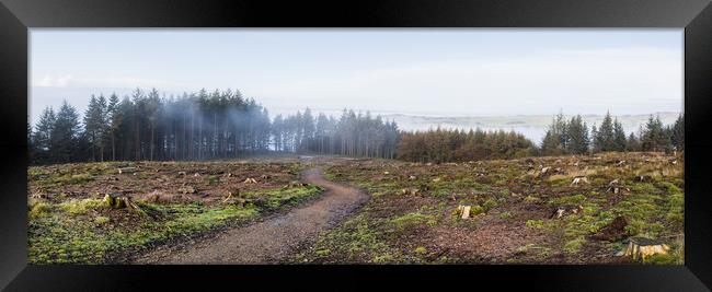 Pathway towards Winsnape Brook Framed Print by Jason Wells