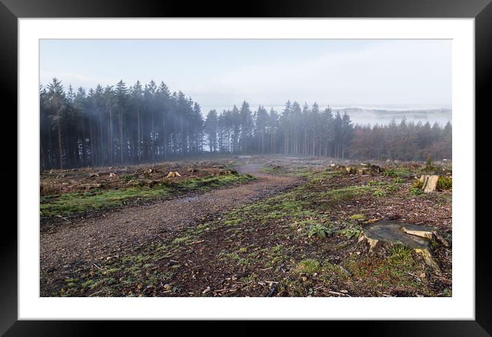 Pathway through the mist Framed Mounted Print by Jason Wells