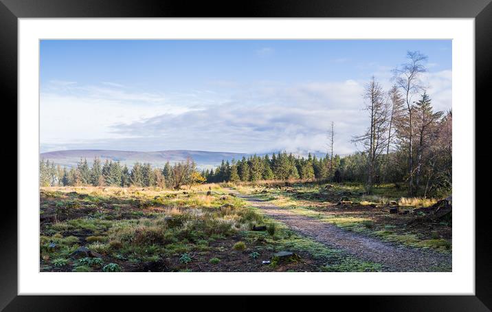 Frosty scene at Beacon Fell Framed Mounted Print by Jason Wells