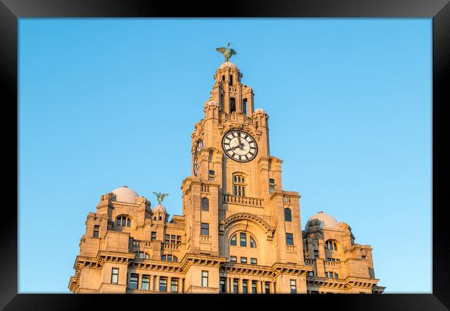 Liver Birds standing proudly Framed Print by Jason Wells