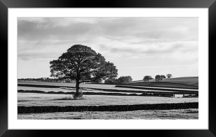 Derbyshire Dales in monochrome Framed Mounted Print by Jason Wells