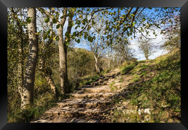 Steps lead up to Lovers Leap Framed Print by Jason Wells